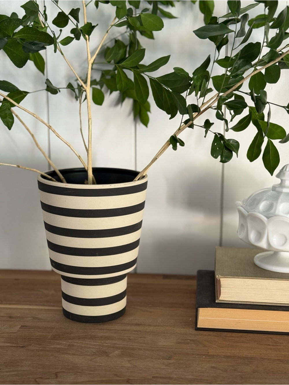 Black and Cream Striped Decorative Planter